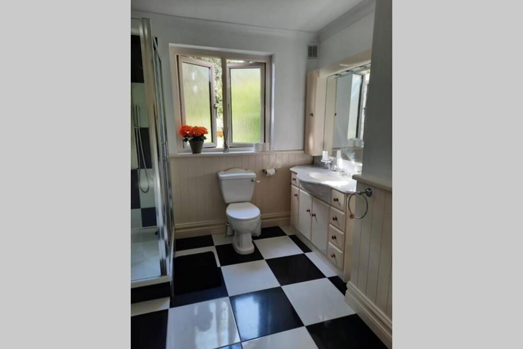Green Garden Meets Blue Sea For 2 People Apartment Dingle