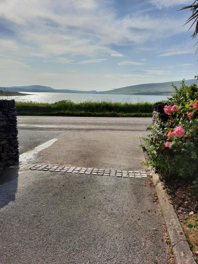 Green Garden Meets Blue Sea For 2 People * Dingle